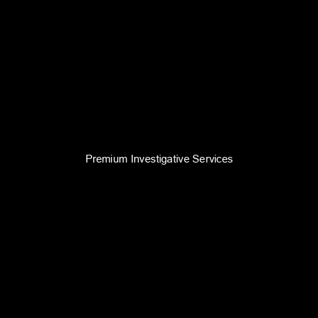 Premium Investigative Services